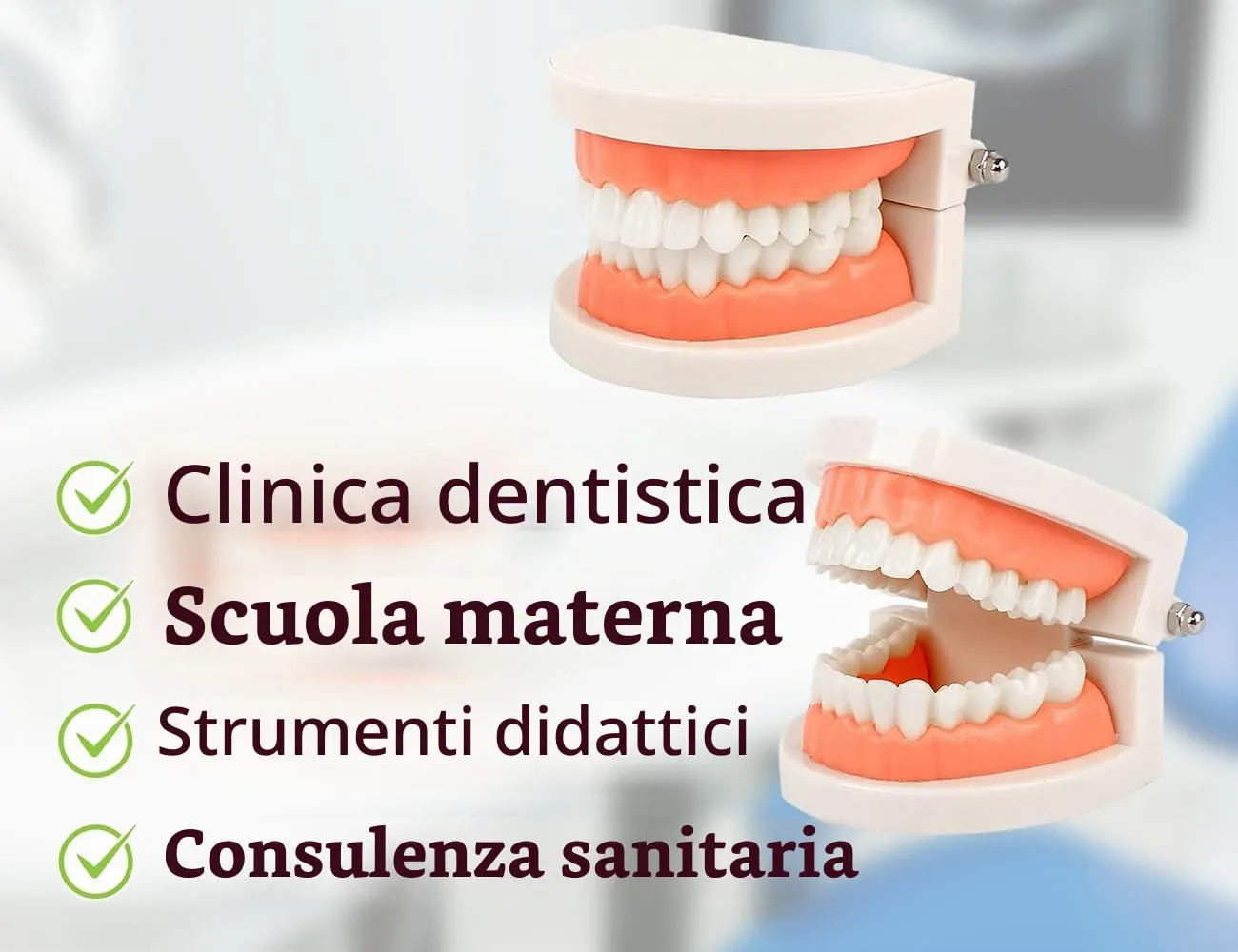 KAPSING Modello di Protesi Dentaria Standard per Dentista, Modello di Dente Giocattolo Realistico, da Utilizzare per Ricerca, Mostre, Iniziative Promozionali - immagine 7