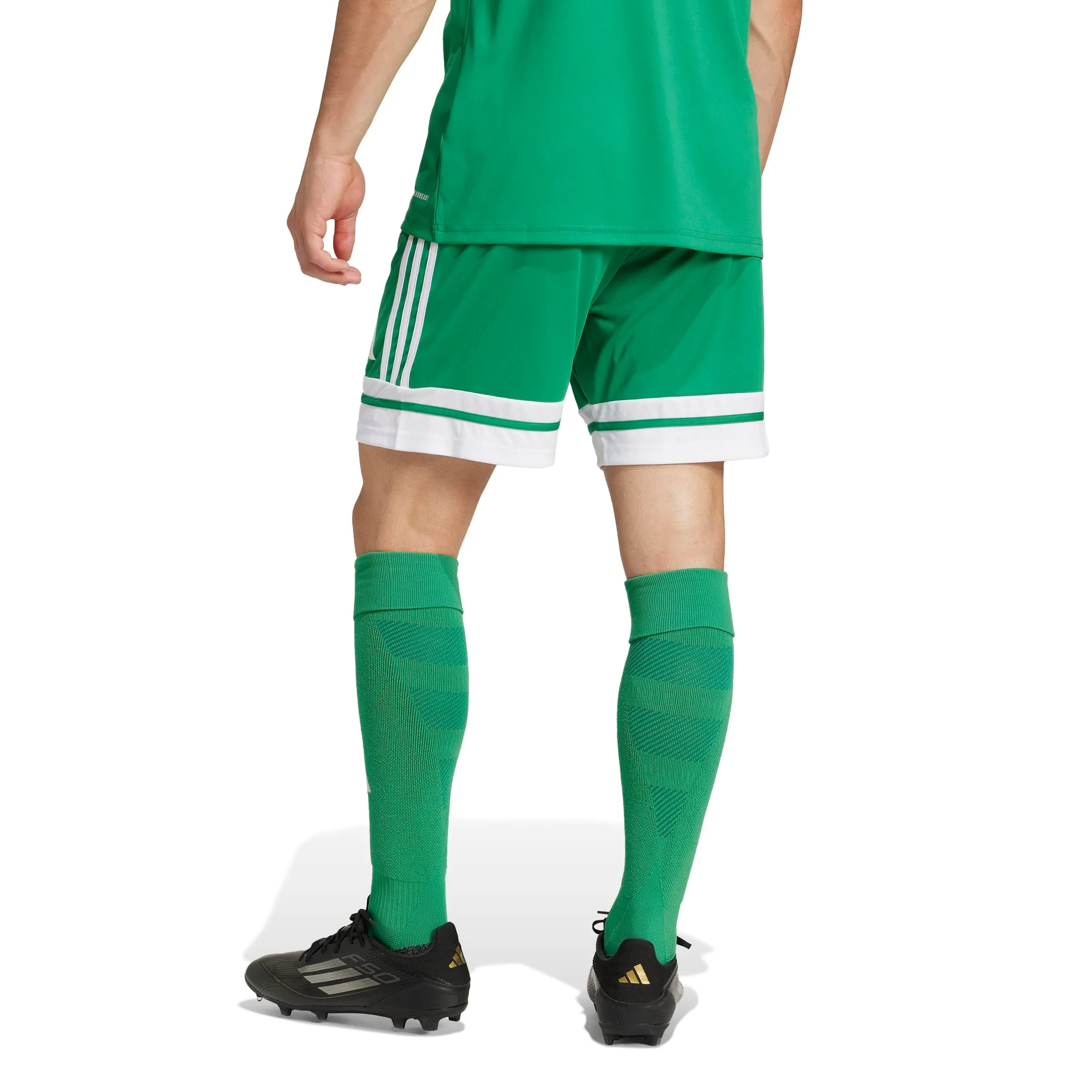 adidas Uomo SQUADRA25 SHORT, team green/white, M - immagine 2