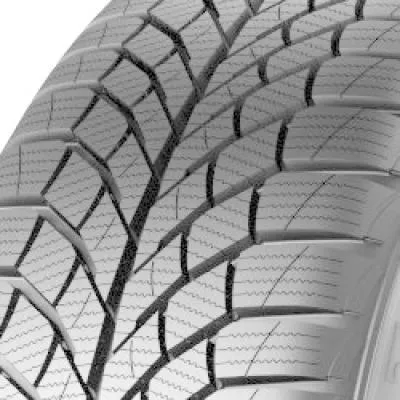 Viking WinTech NewGen ( 225/40 R18 92V XL EVc, con bordo di protezione ) - immagine 1