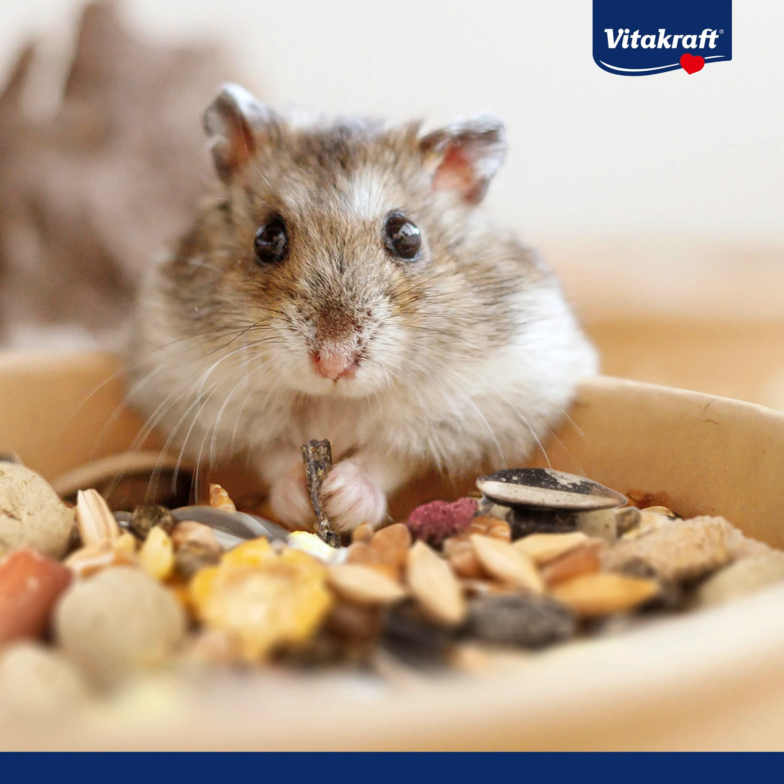 Vitakraft Menu Vital, alimento principale per criceti, con verdura, con noci, con vitamine e minerali essenziali, senza l'aggiunta di zuccheri e cereali (6x 400g) - immagine 2