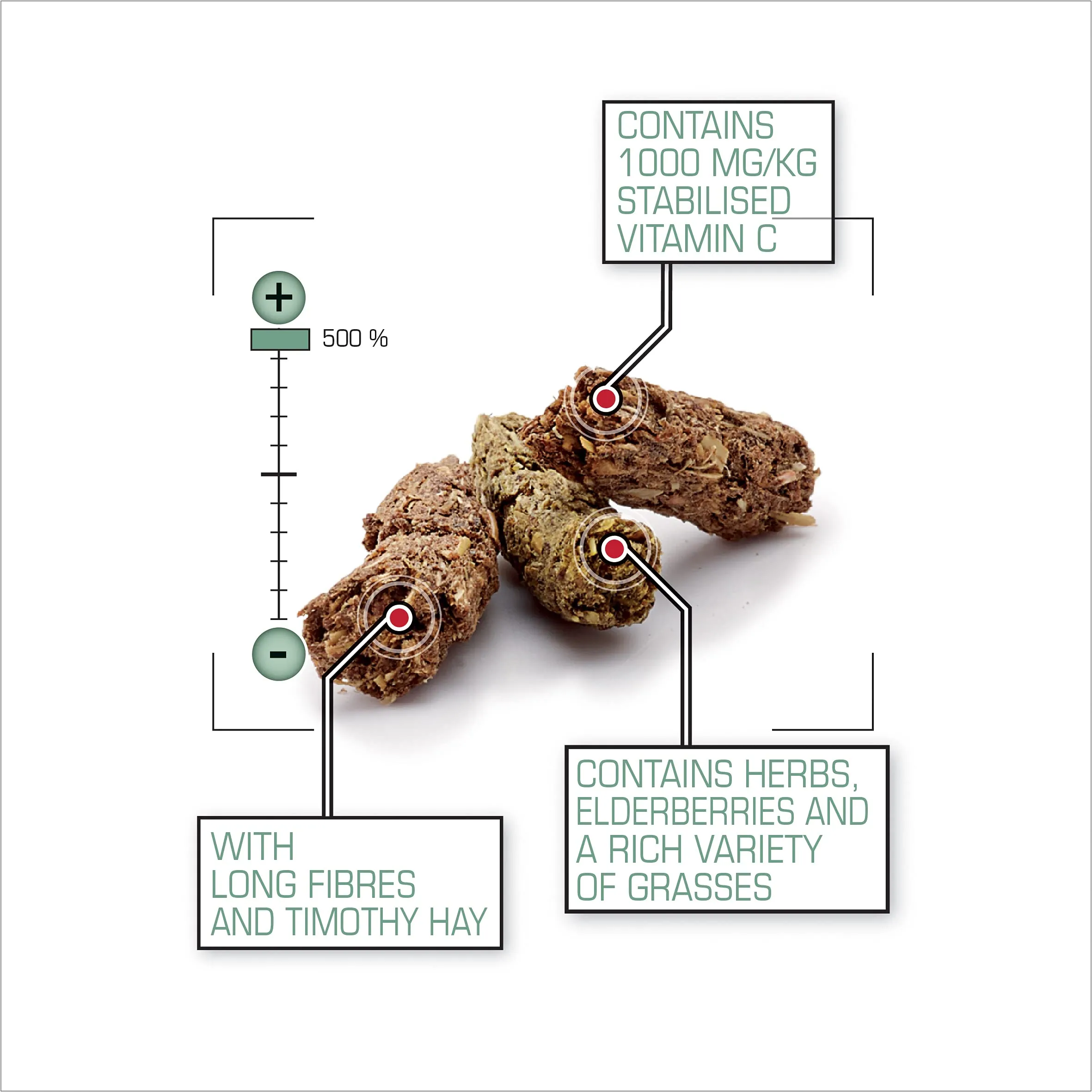 VERSELE-LAGA - Complete Cavia - Alimento estruso “tutto in uno” ricco di fibre per porcellini d’India - 8kg - immagine 3