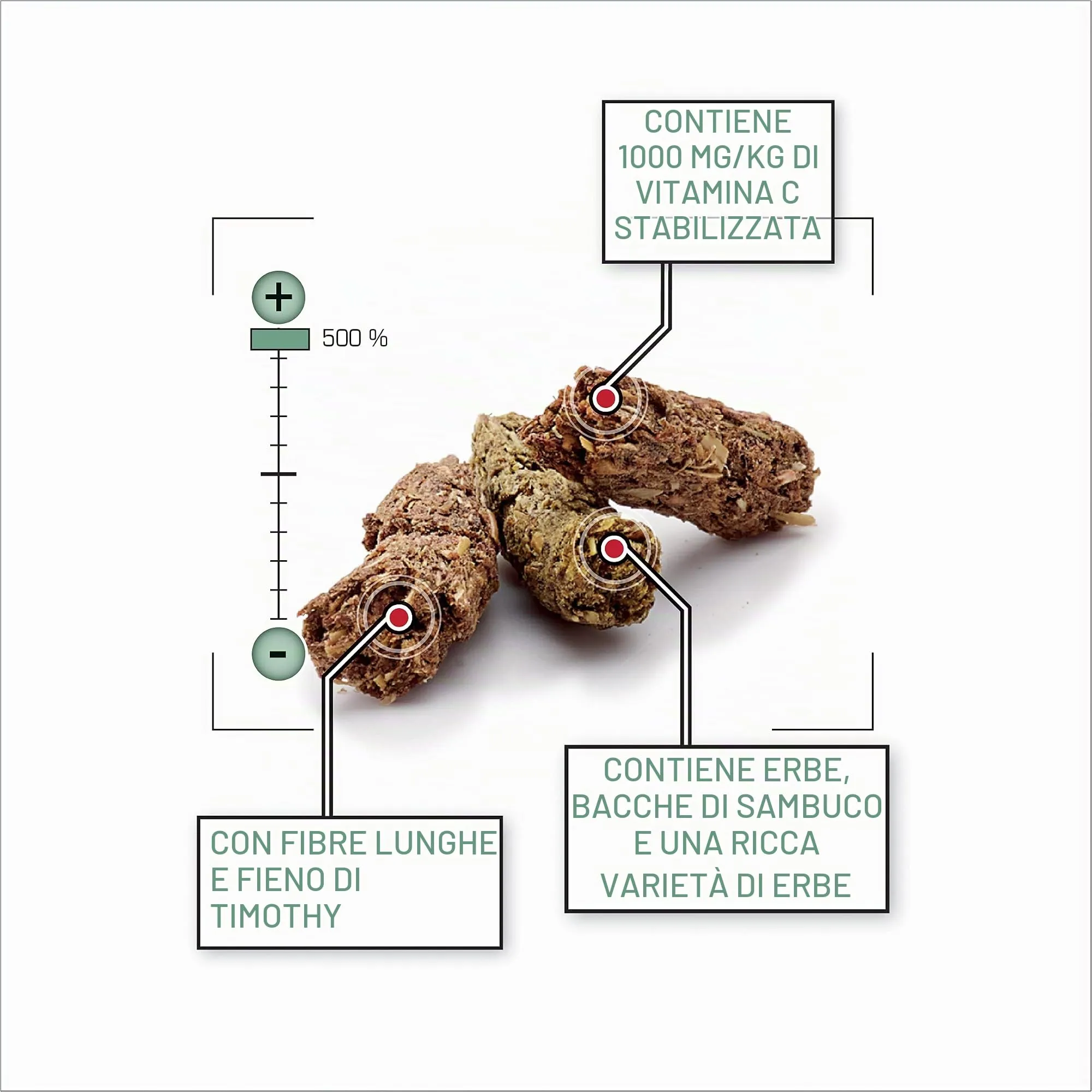 VERSELE-LAGA - Complete Cavia - Alimento estruso “tutto in uno” ricco di fibre per porcellini d’India - 1,75kg - immagine 3