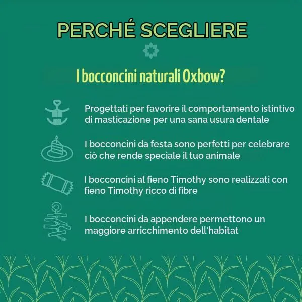 Oxbow Enriched Life Cuore Celebrativo - Giocattoli per Conigli, Porcellini d'India, Criceti, Ratti - immagine 4