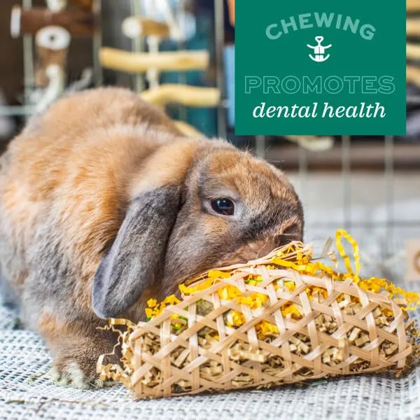 Oxbow Enriched Life Palla Pazza - Giocattoli per Conigli, Porcellini d'India, Criceti, Ratti - immagine 7
