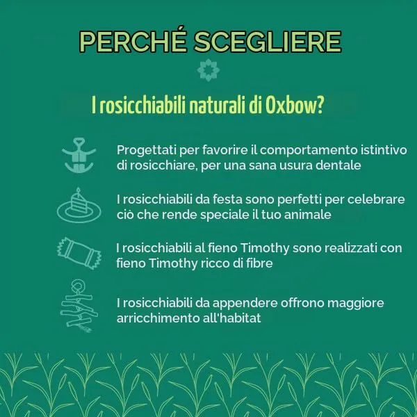 Oxbow Enriched Life Anelli Intrecciati - Giocattoli per Conigli, Porcellini d'India, Criceti, Ratti - immagine 4