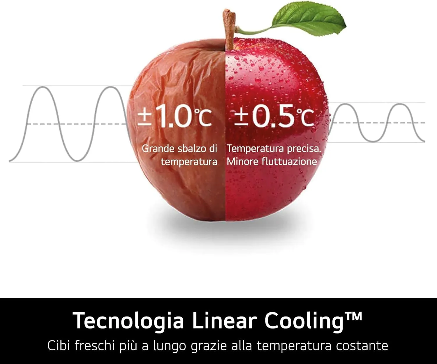 LG GTBV44PYBKD Frigorifero Doppia Porta Larghezza 70cm, 461L, No Frost - immagine 4