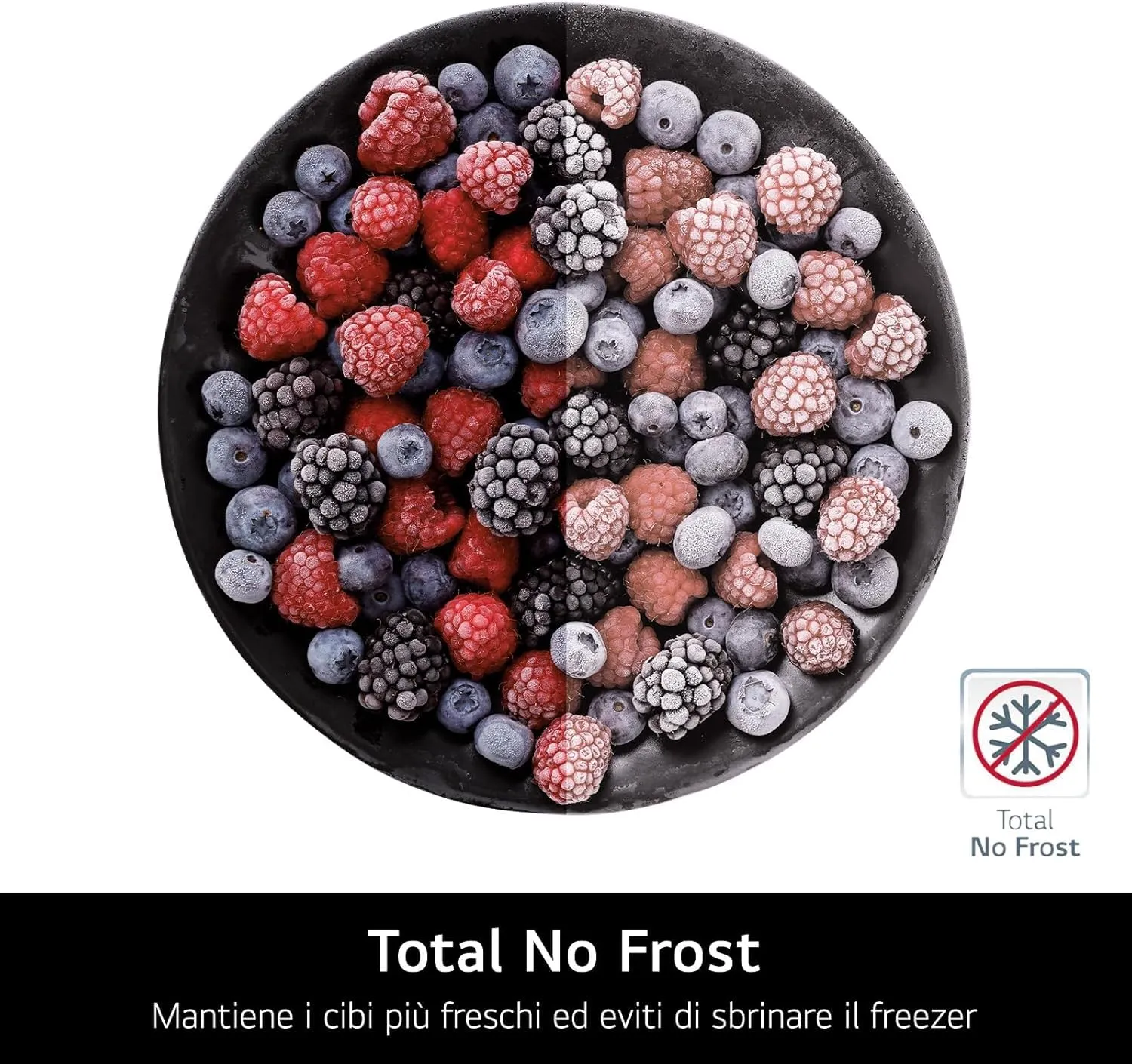 LG GTBV44PYBKD Frigorifero Doppia Porta Larghezza 70cm, 461L, No Frost - immagine 6