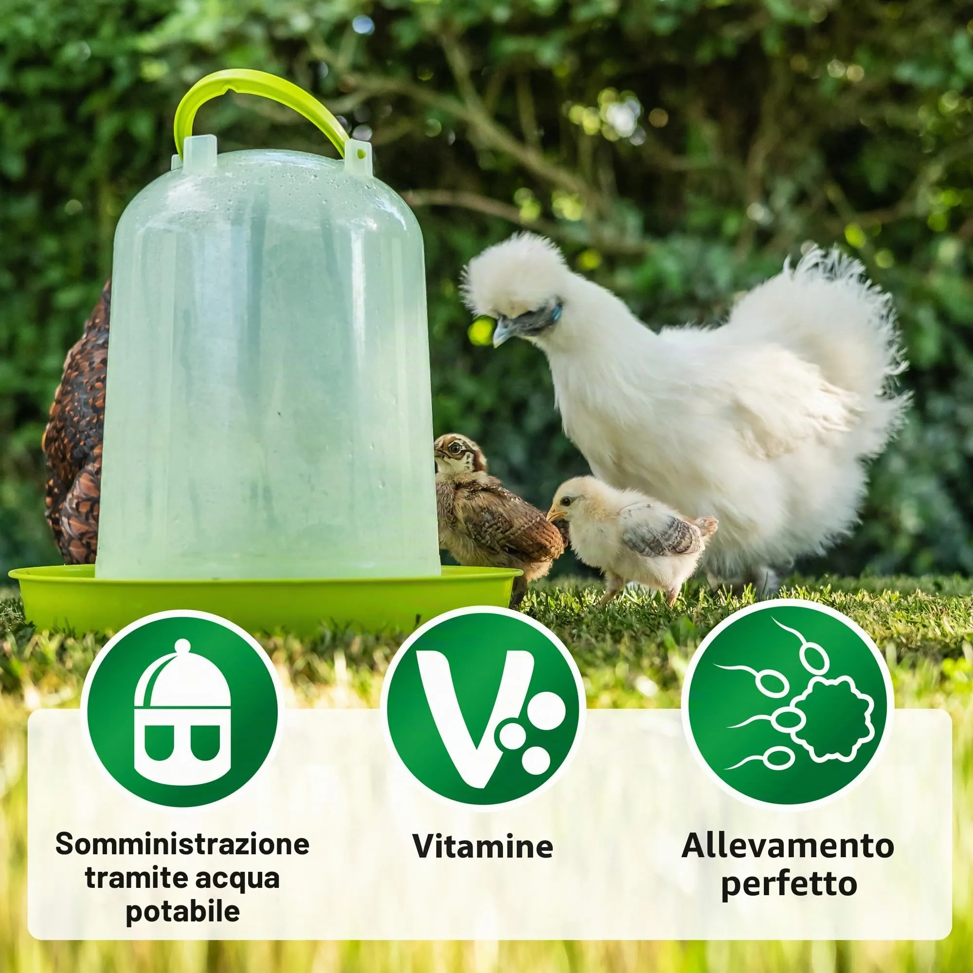 roehn Fried Vitamina adec Vitamina Concentrato (100 ML) per polli, Bovino, Maiale & Pollame, Liquido complemento mangime per Crescita & Deposizione Potenza - immagine 2