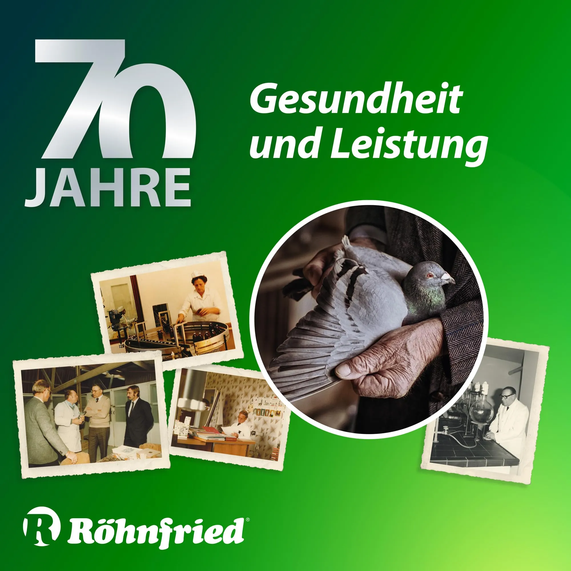 roehn Fried Vitamina adec Vitamina Concentrato (100 ML) per polli, Bovino, Maiale & Pollame, Liquido complemento mangime per Crescita & Deposizione Potenza - immagine 5