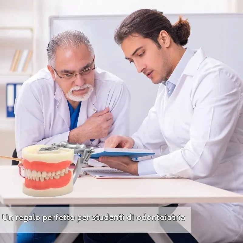 Modello di denti Typodont dentali, con 32 denti rimovibili compatibili con Kilgore Nissin 200 tipo per insegnamento, pratica e studio - immagine 8