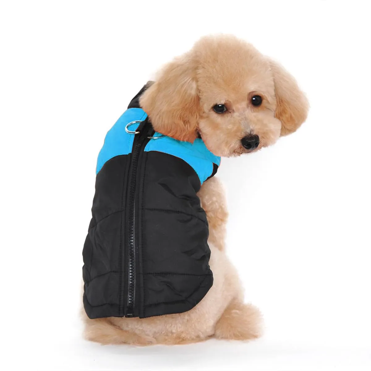 Ectkuee Animale Domestico Cane Vestiti Imbottito Abbigliamento Cappotto Giacca - immagine 1