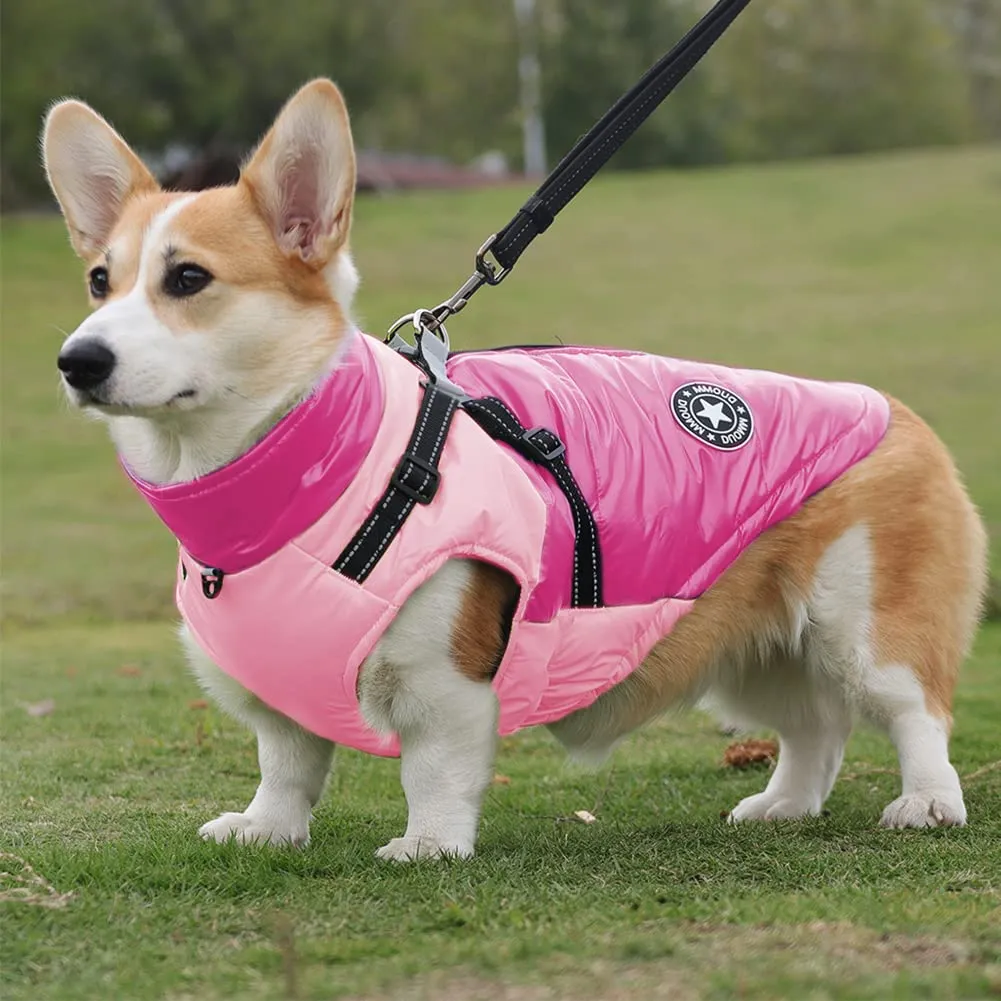 Cappotto Invernale per Cani, RosyFate Vestiti per Cani Piccoli, Giacca Cane Impermeabile, Gilet per Cani, Vestiti Caldi perr Animali Domestici, Antivento per Esterno (Rosa XL) - immagine 9