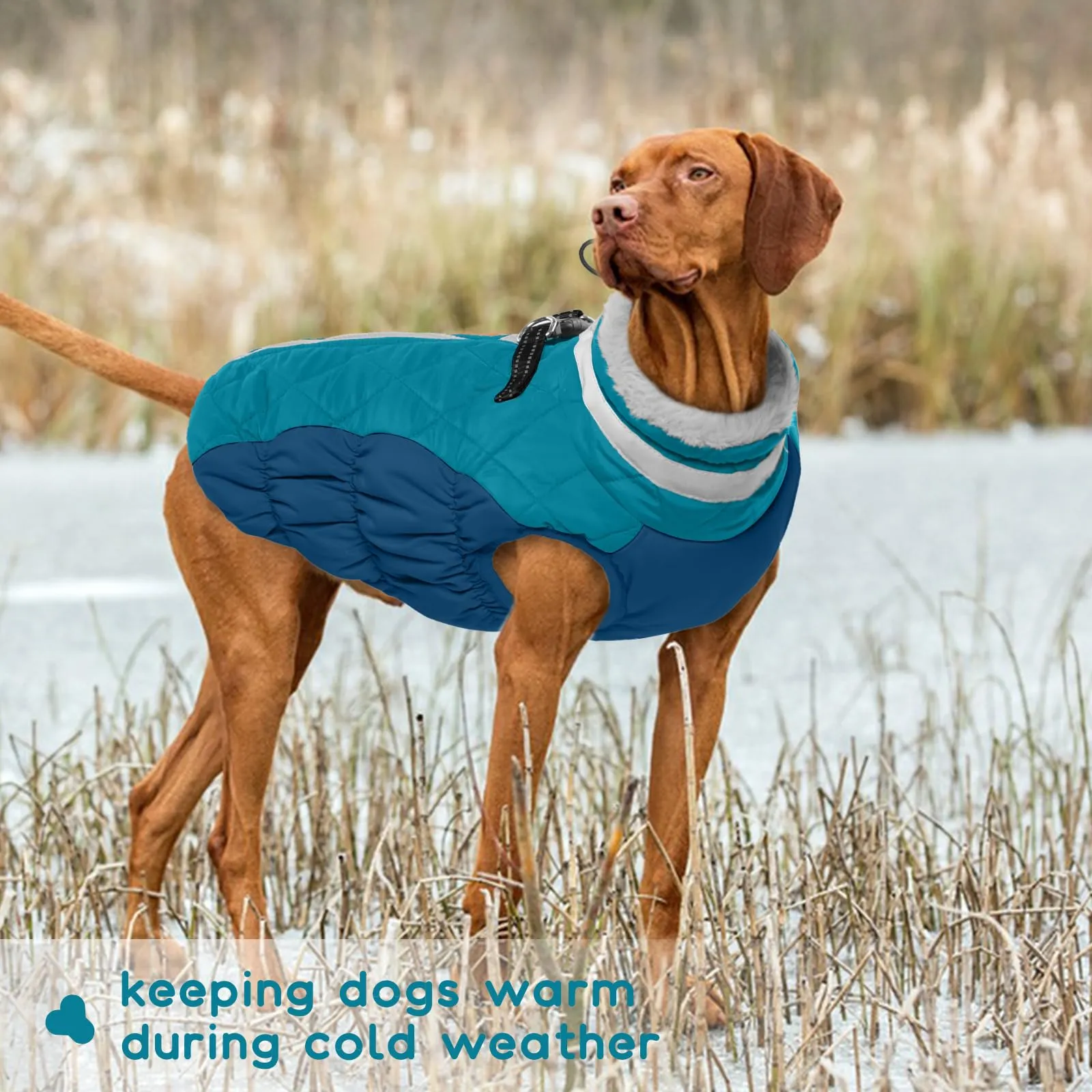 Cappotto XXL Cani, Giubbotto Per Cani Taglia Grande Giacca Impermeabile Cane Giacca Cane Taglia Grande Cappotto Pile Cane Cappotto Labrador(Verde Scuro, 2XL) - immagine 6
