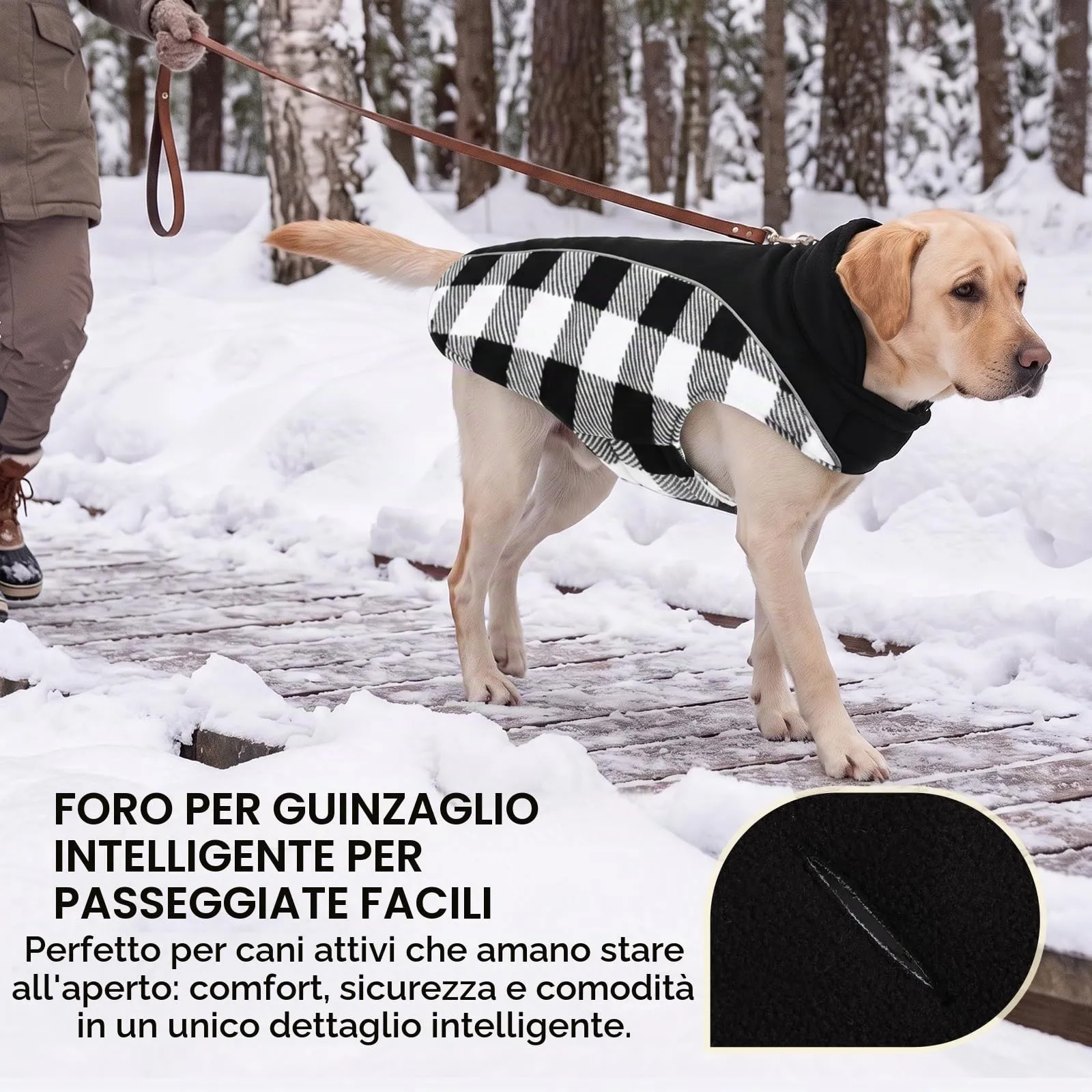 CITÉTOILE Cappotto Invernale per Cani, Giacca Calda e Antivento Nero XS - immagine 4