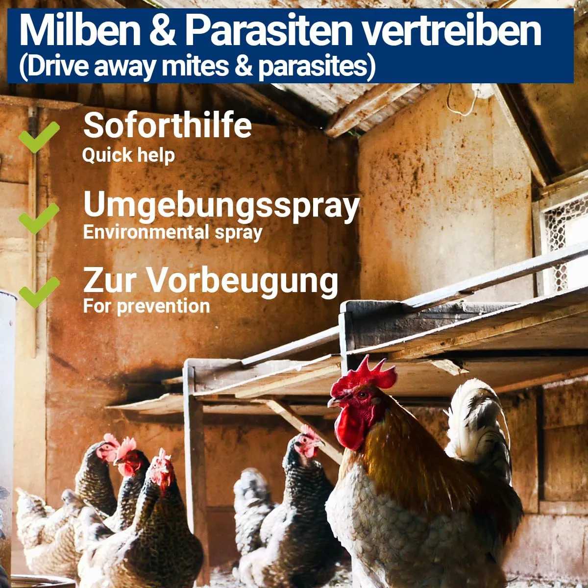 3 spray antiacari da 1000 ml per pollame come polli e uccelli, immediato e a lungo termine contro i parassiti, in caso di acute e prevenzione (3 x 1000 ml) - immagine 3