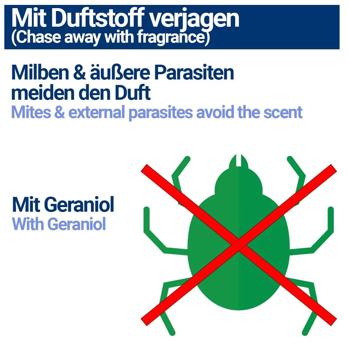 3 spray antiacari da 1000 ml per pollame come polli e uccelli, immediato e a lungo termine contro i parassiti, in caso di acute e prevenzione (3 x 1000 ml) - immagine 4