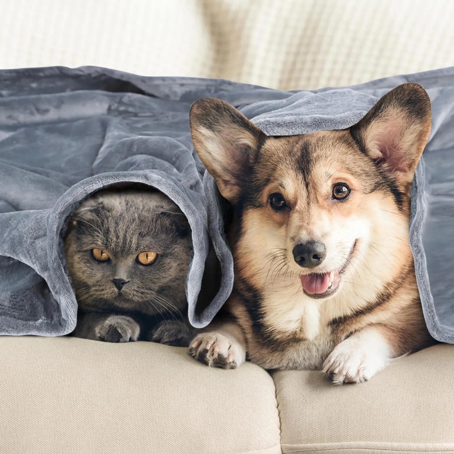 Nobleza Coperta Impermeabile per Cani, L 127 x 100cm Coperta Morbida e Soffice per Cane, Lavatrice, Reversibile Protettore per Divano, Grigio - immagine 7