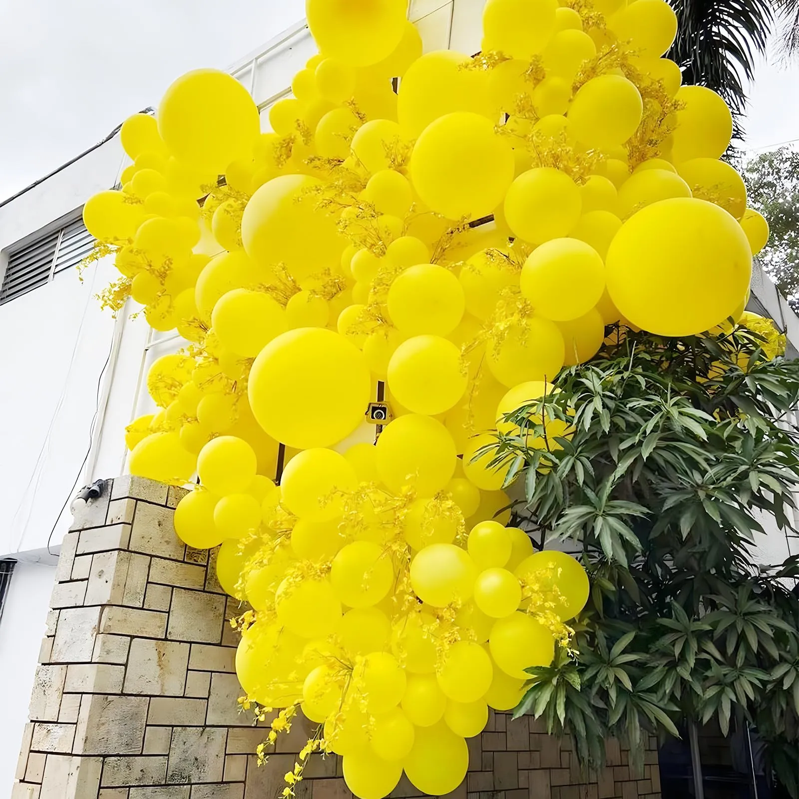 Unisun Palloncini Gialli, 50 Pezzi 12 Pollici Palloncini Gialli Opachi - immagine 5