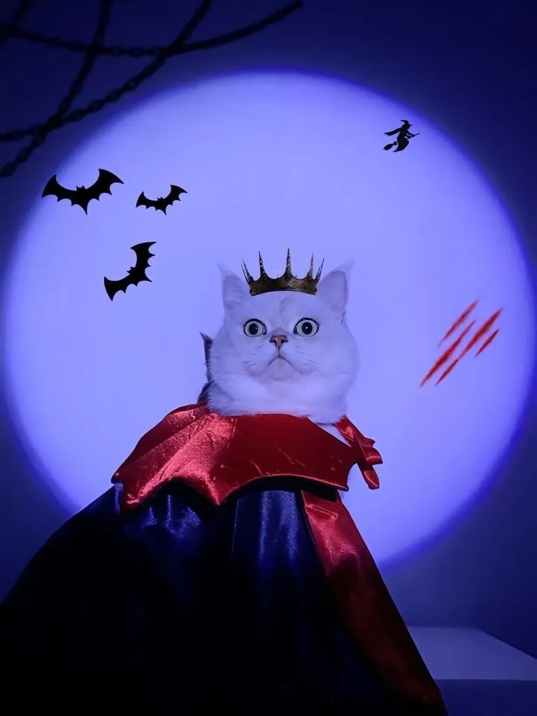 SULOLI Costume Animali Halloween,Mantello per Animali Domestici - immagine 5