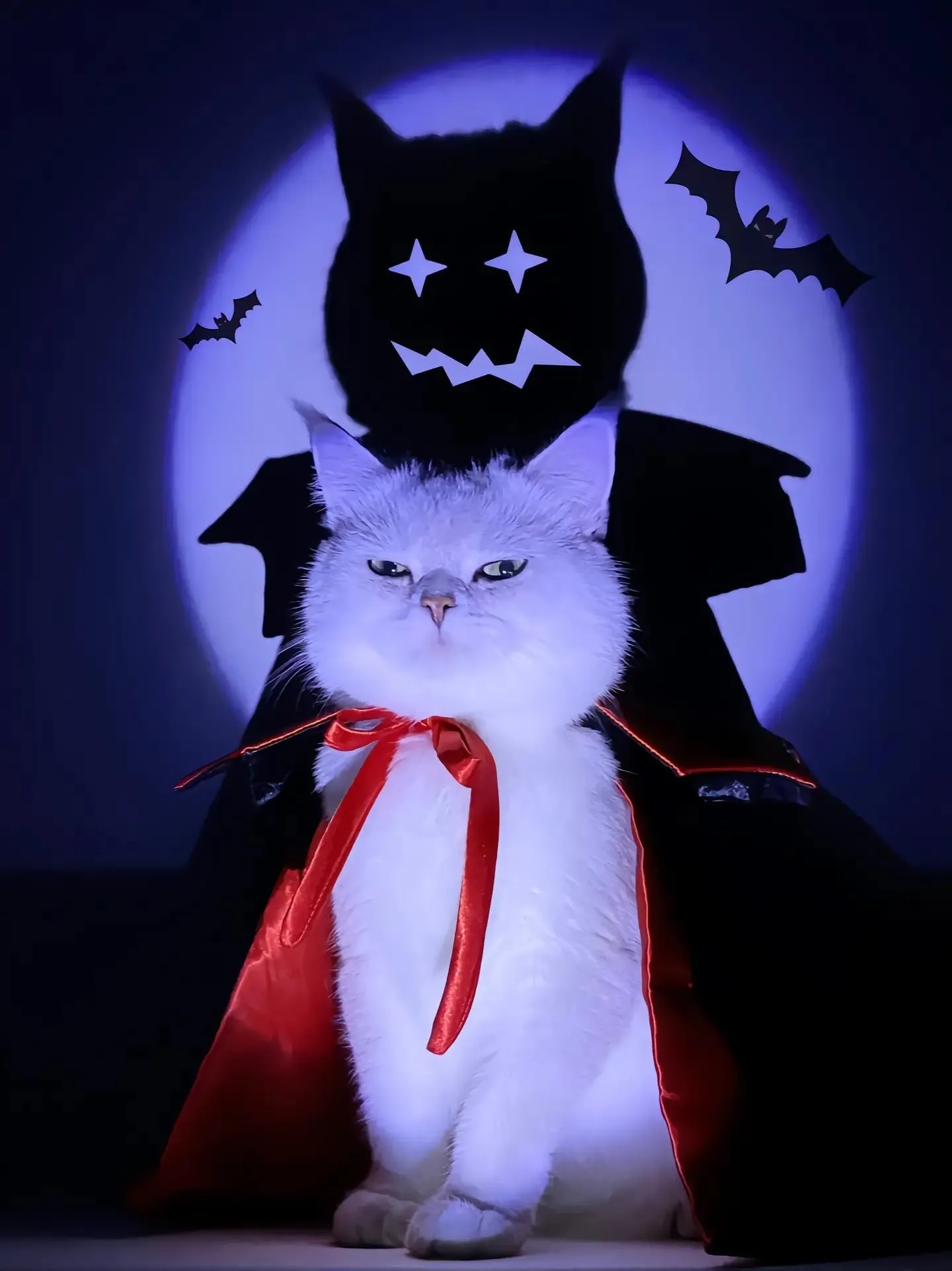 SULOLI Costume Animali Halloween,Mantello per Animali Domestici - immagine 6