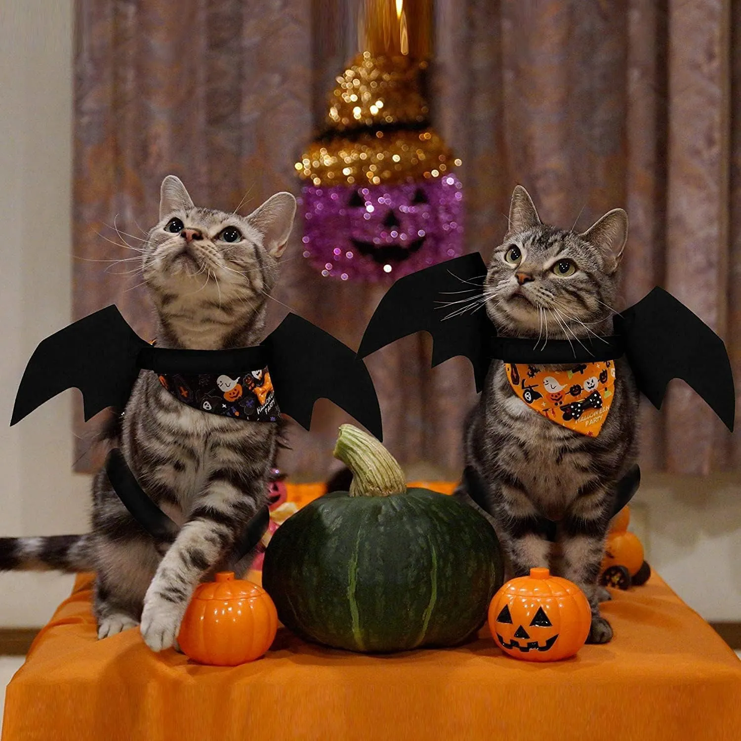 SULOLI Costume Animali Halloween,Abbigliamento Pipistrello per Cane Gatto - immagine 5