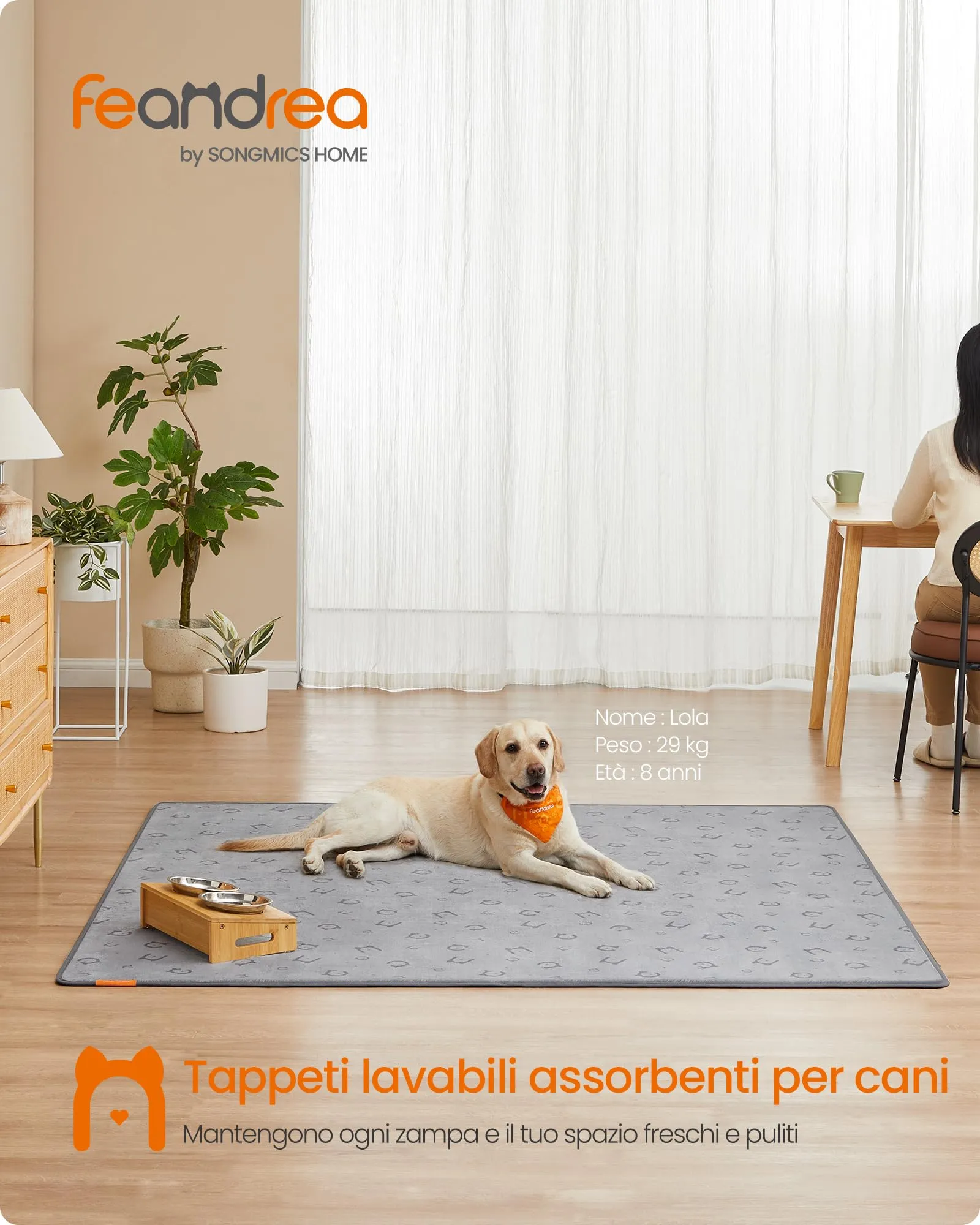 Feandrea Tappeti per Addestramento per Cani, 2 Pezzi, 183 x 183 cm - immagine 2