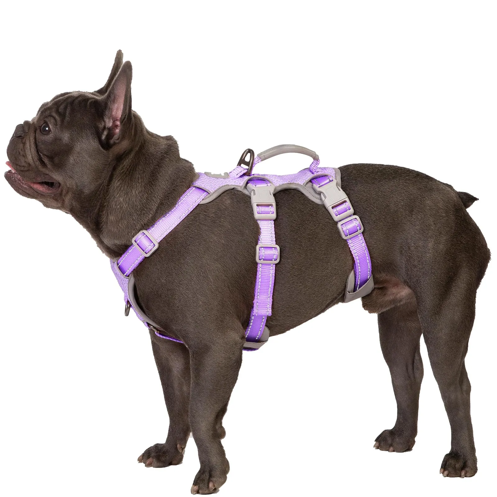 Huntboo Pettorina per cani a prova di fuga, sicura senza possibilità di fuga, pettorina completamente riflettente con maniglia, traspirante, regolabile per piccole razze - immagine 1