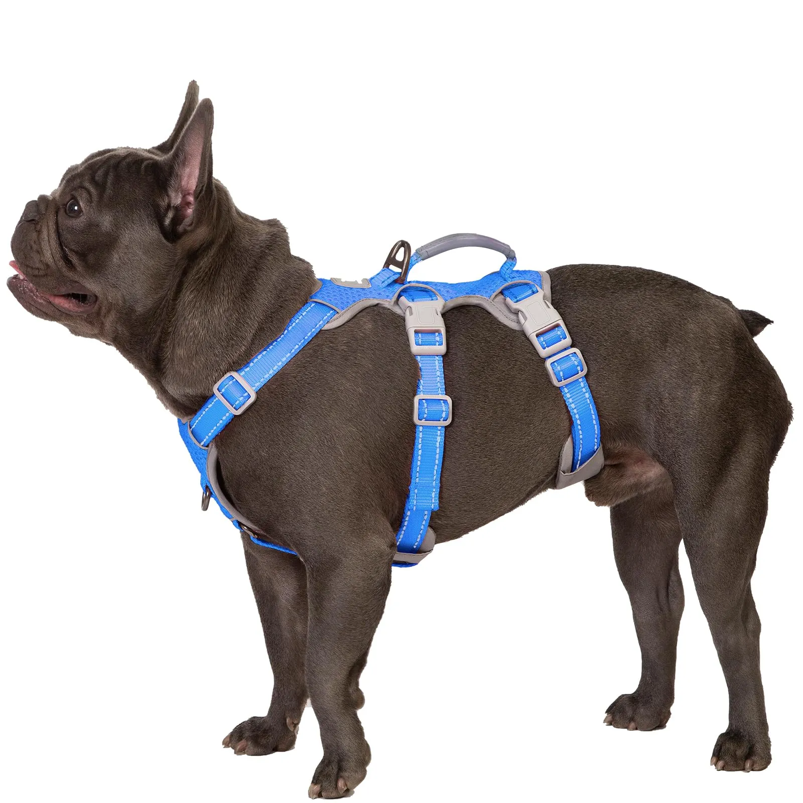 Huntboo Pettorina per cani a prova di fuga, pettorina per cani anti-fuga, pettorina completamente riflettente con impugnatura imbottita, traspirante, resistente e regolabile per cani - immagine 1