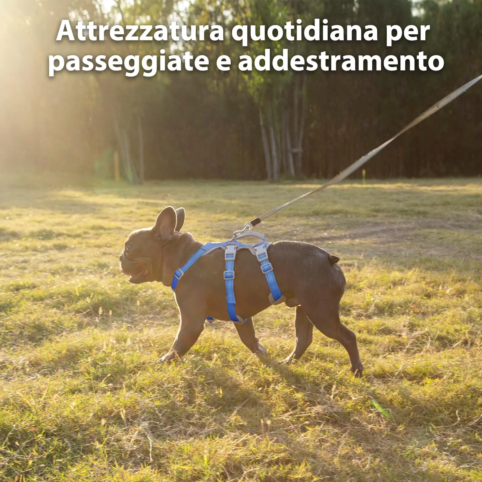 Huntboo Pettorina per cani a prova di fuga, pettorina sicura per cani senza possibilità di fuga,pettorina completamente riflettente con maniglia, traspirante, regolabile - immagine 7