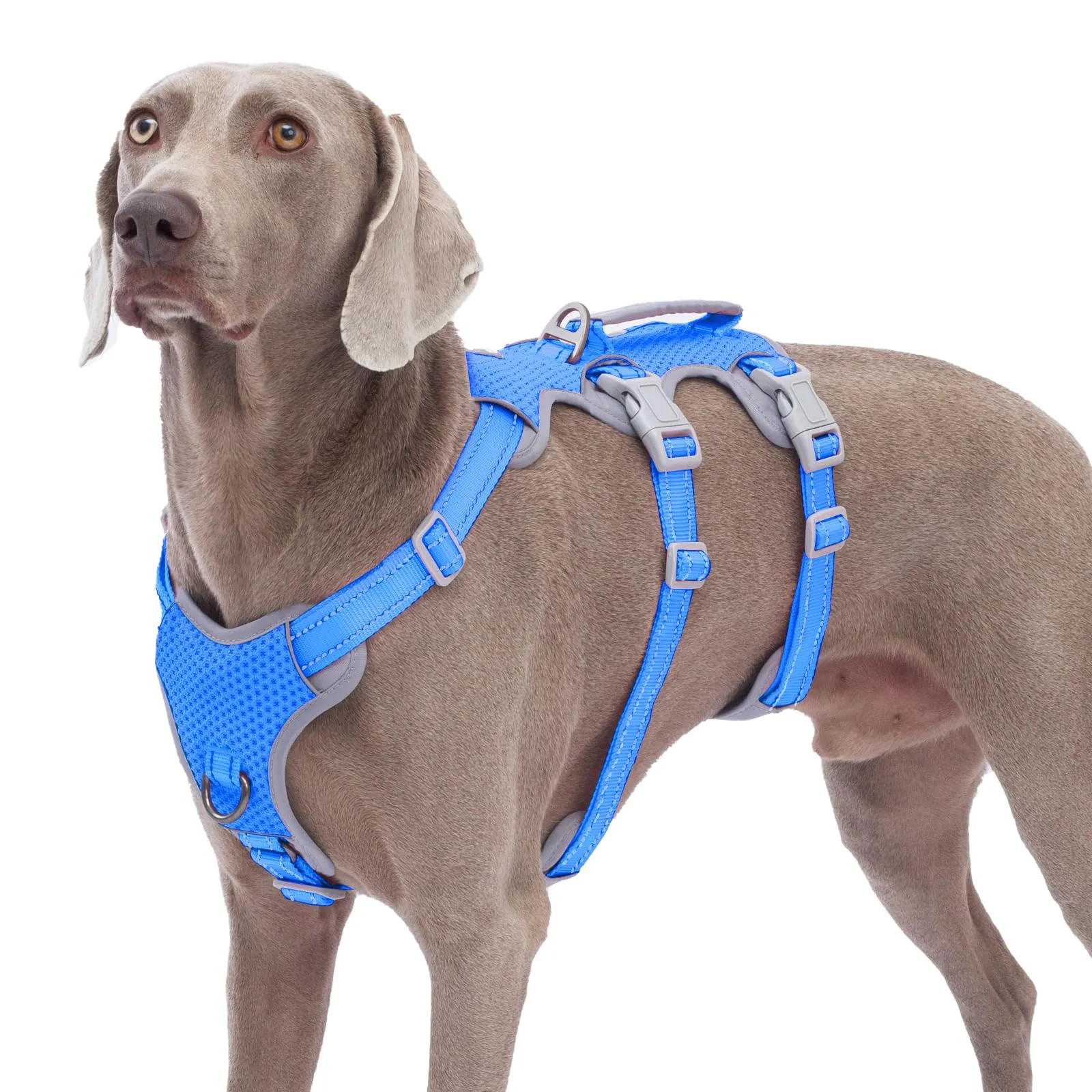 Huntboo Imbracatura a prova di fuga, imbracatura per cani antiscivolo a prova di fuga, imbracatura completamente riflettente con maniglia, traspirante, regolabile per cani di media taglia - immagine 1