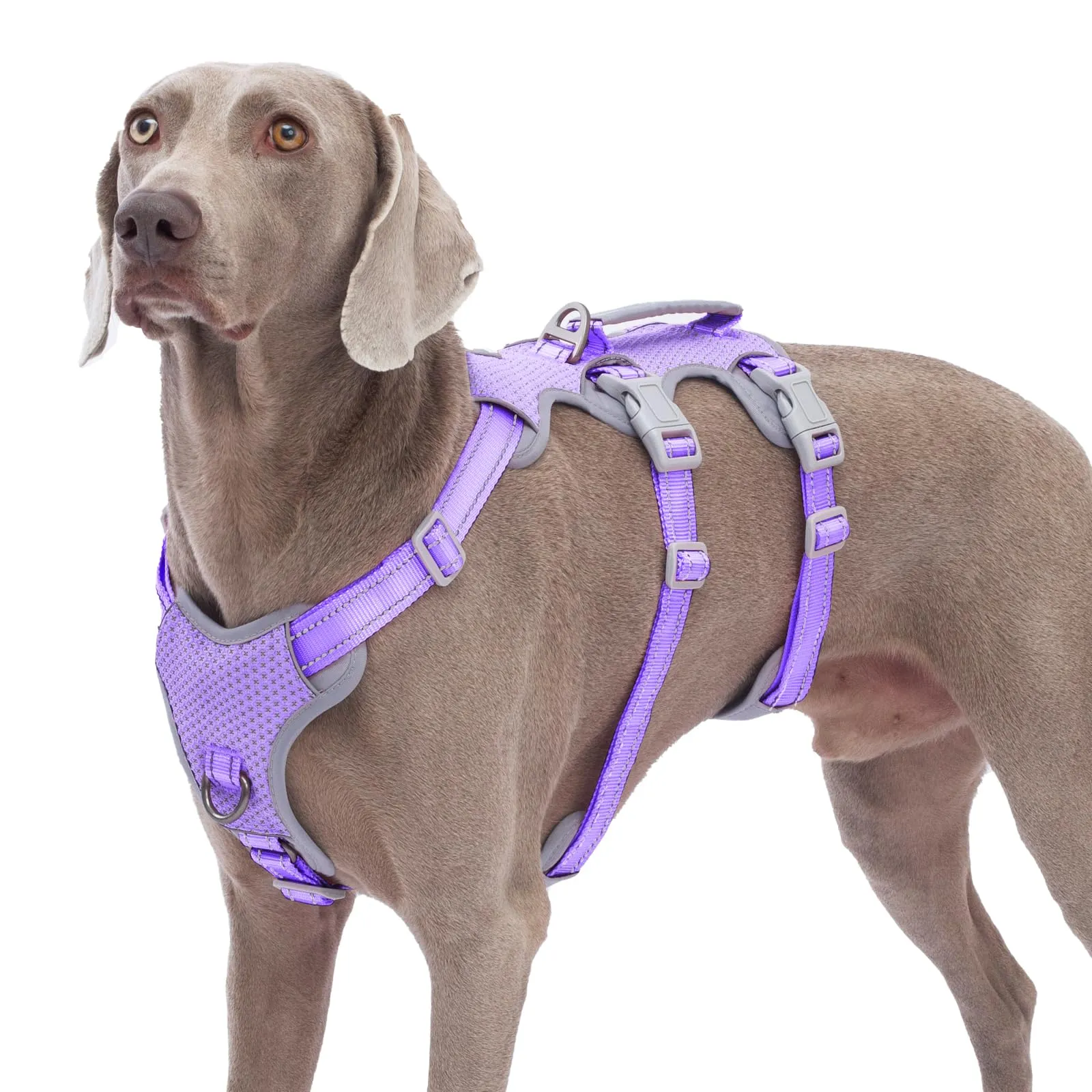 Huntboo Pettorine per cani a prova di fuga, pettorina per artisti della fuga, pettorina completamente riflettente con impugnatura imbottita, traspirante, durevole, regolabile per cani di grossa taglia - immagine 1
