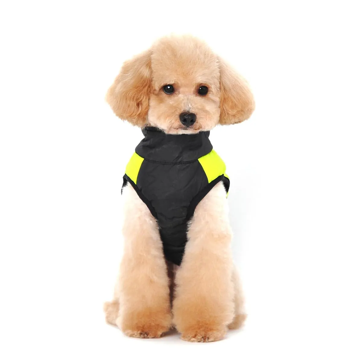 Ectkuee Animale Domestico Cane Vestiti Imbottito Abbigliamento Cappotto Giacca - immagine 2
