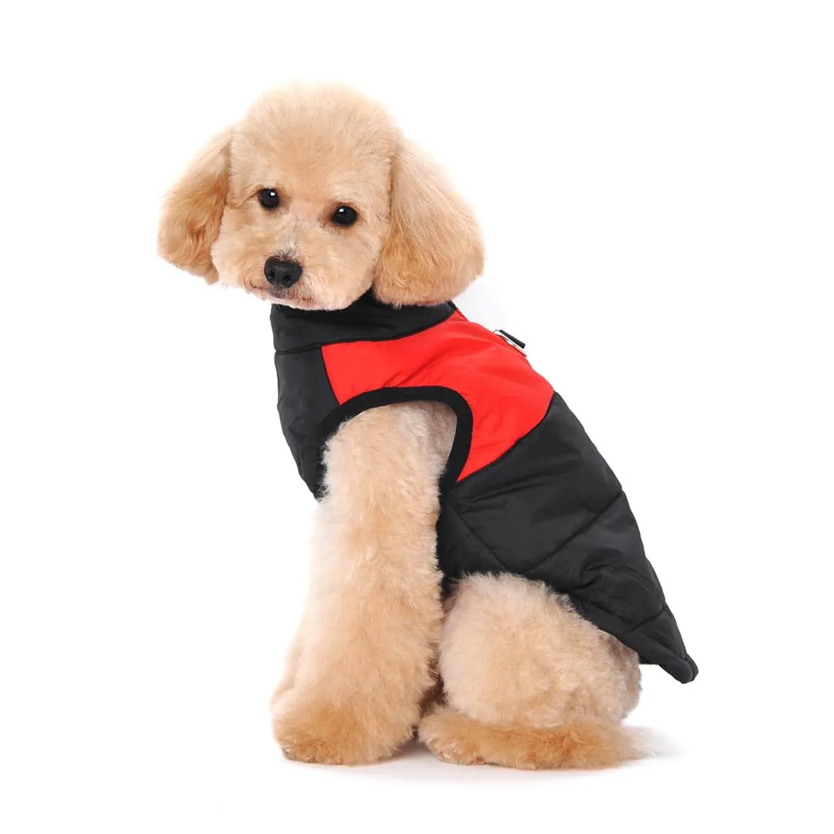 Ericoy Giubbino caldo per l’inverno, per cani di dimensioni piccole, medie e grandi - immagine 3