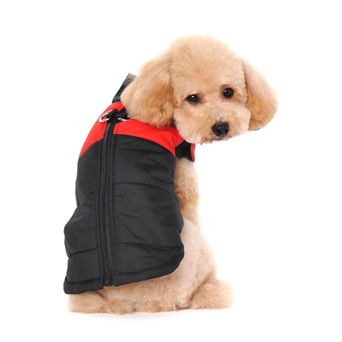 Ectkuee Animale Domestico Cane Vestiti Imbottito Abbigliamento Cappotto Giacca - immagine 1