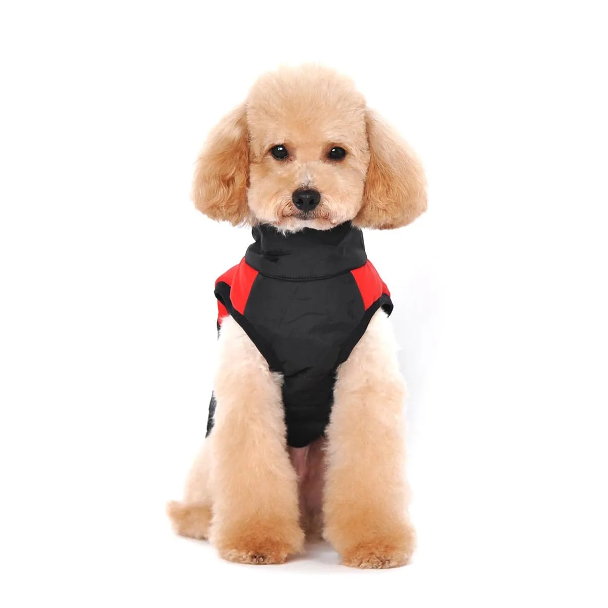 Ectkuee Animale Domestico Cane Vestiti Imbottito Abbigliamento Cappotto Giacca - immagine 2