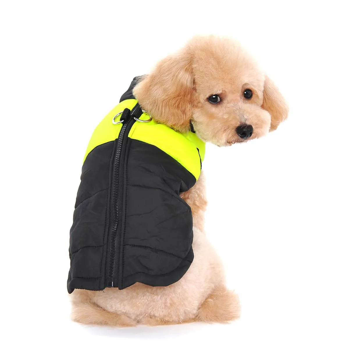 Ectkuee Animale Domestico Cane Vestiti Imbottito Abbigliamento Cappotto Giacca - immagine 1