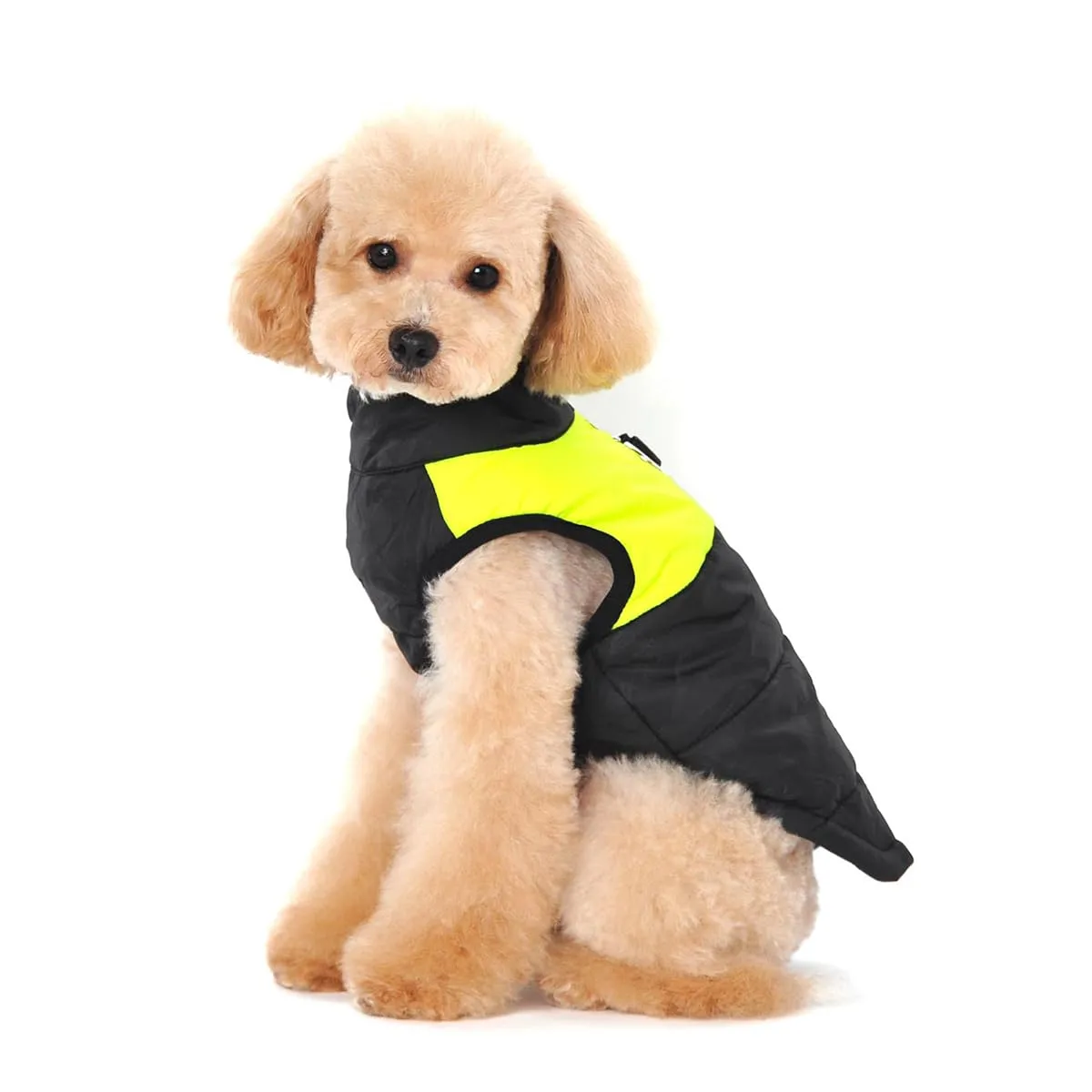 Ectkuee Animale Domestico Cane Vestiti Imbottito Abbigliamento Cappotto Giacca - immagine 3