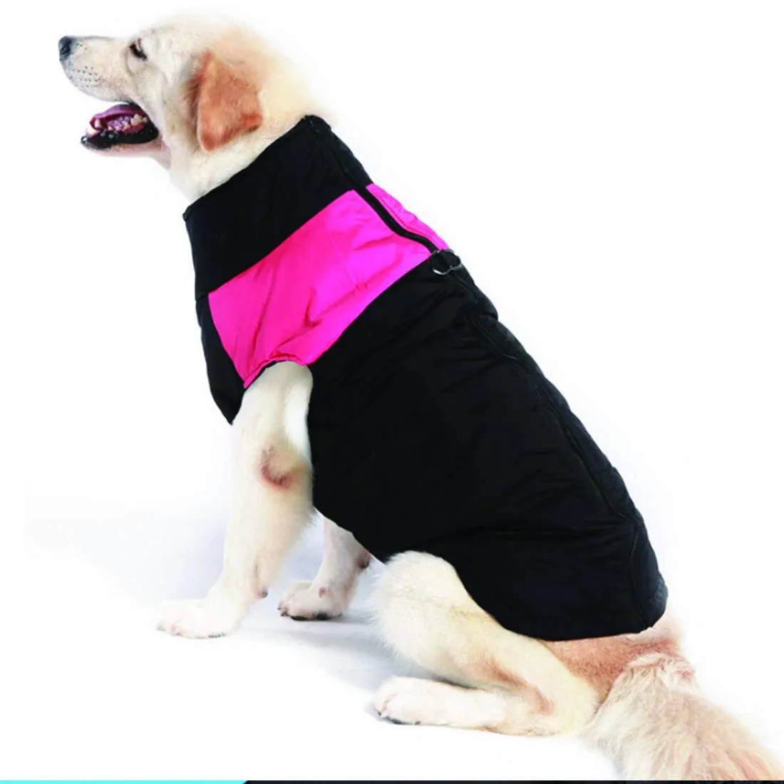 Ectkuee Animale Domestico Cane Vestiti Imbottito Abbigliamento Cappotto Giacca - immagine 7