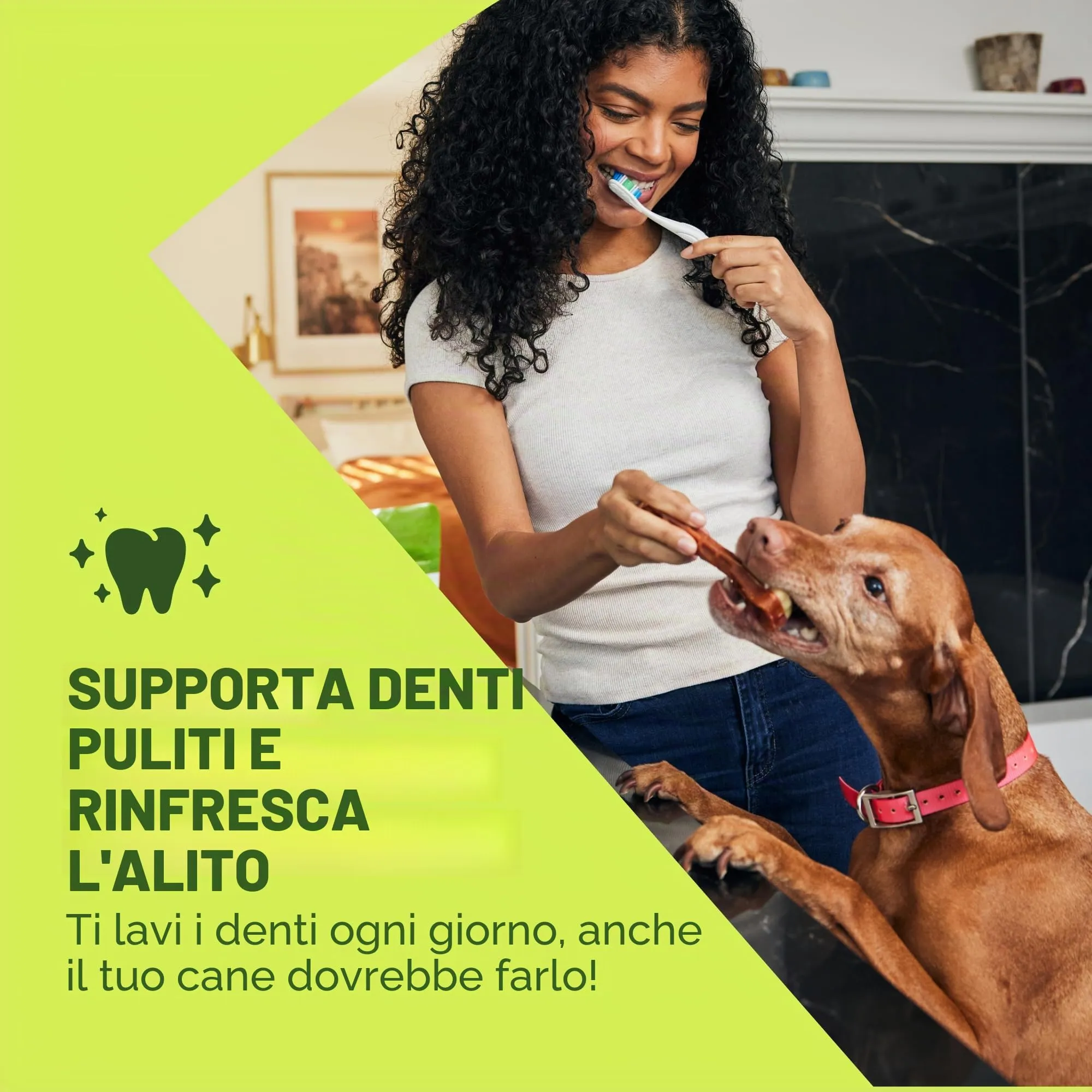 WHIMZEES Stix XS, 56 Pezzi – Taglia XS - immagine 3