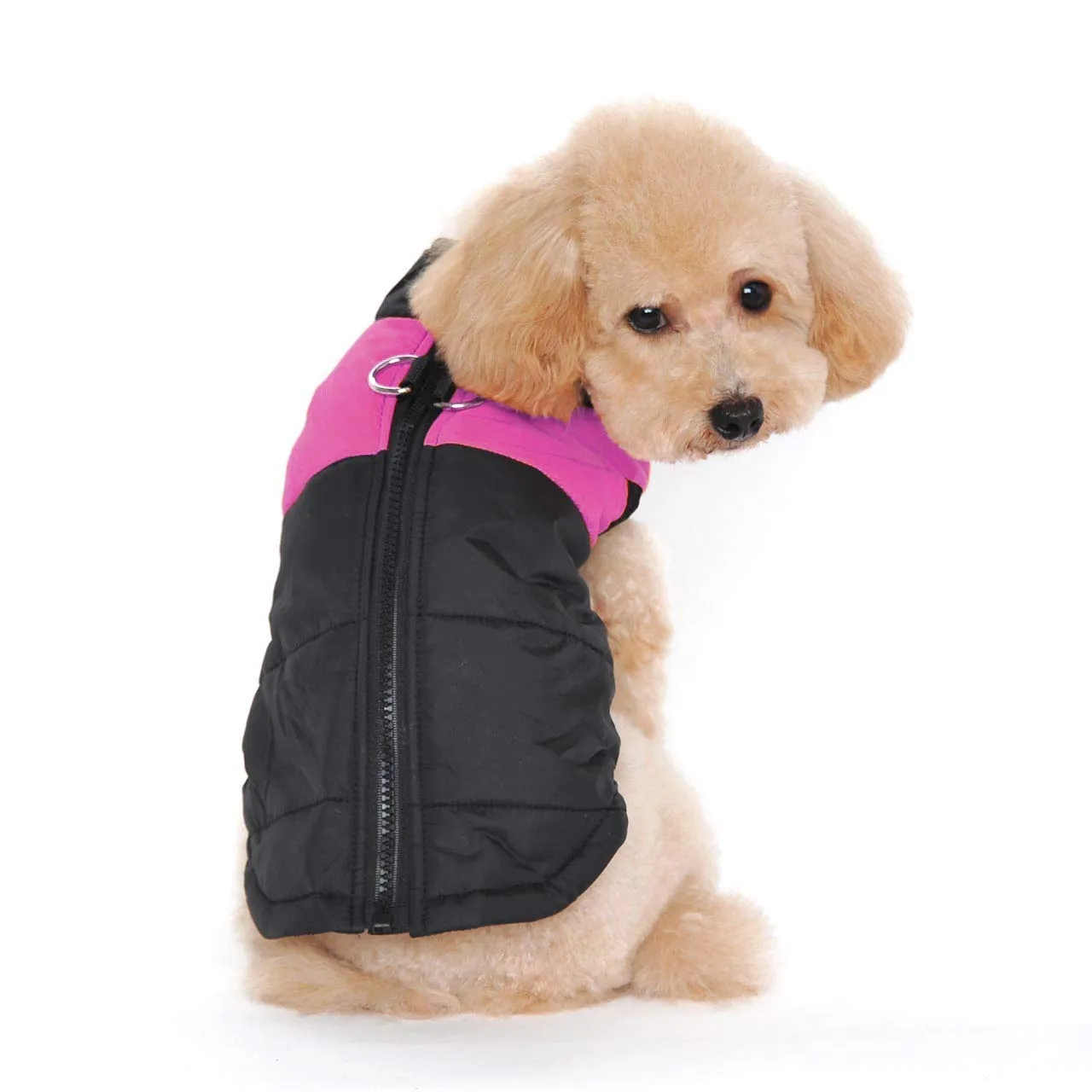 Ectkuee Animale Domestico Cane Vestiti Imbottito Abbigliamento Cappotto Giacca - immagine 1