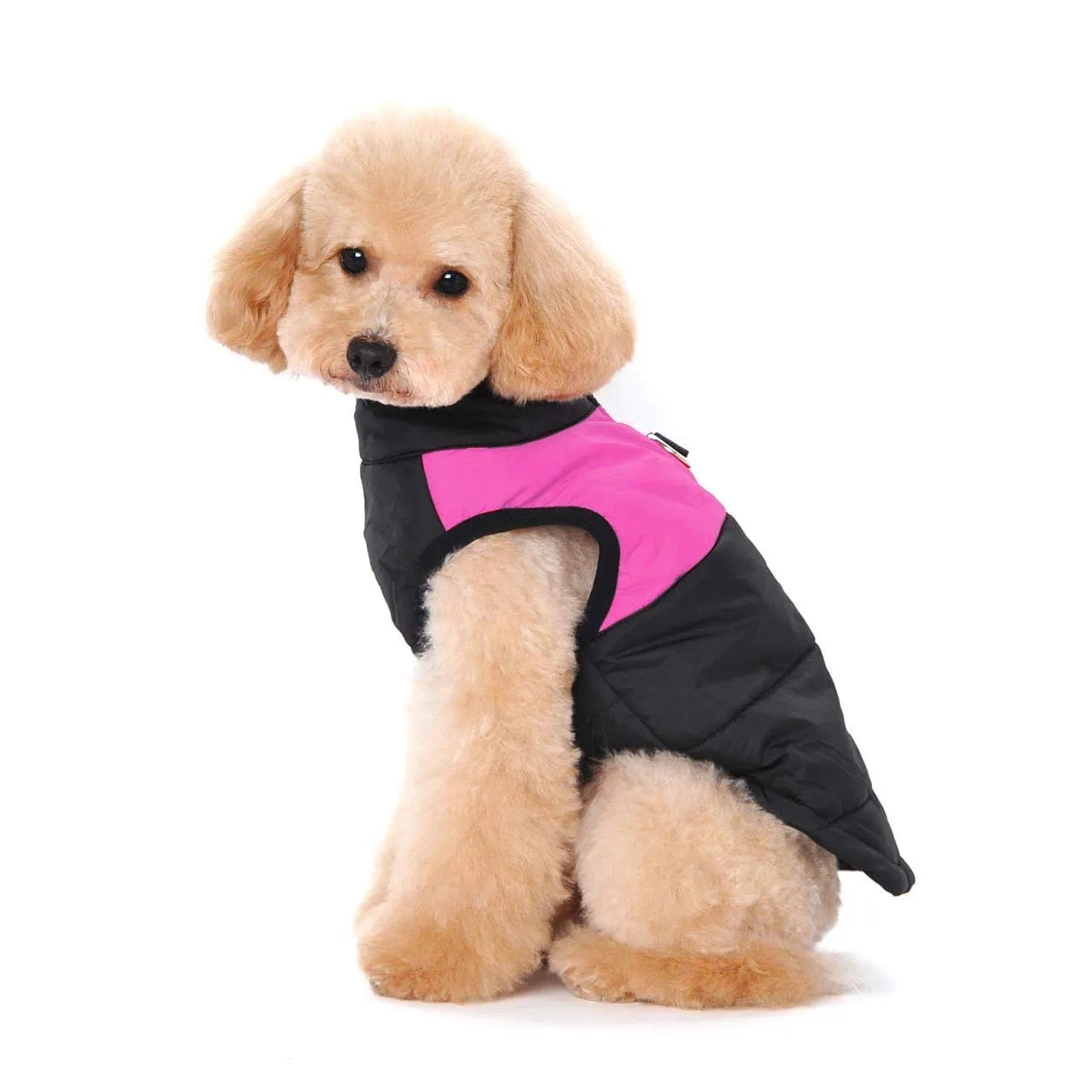 Ectkuee Animale Domestico Cane Vestiti Imbottito Abbigliamento Cappotto Giacca - immagine 2