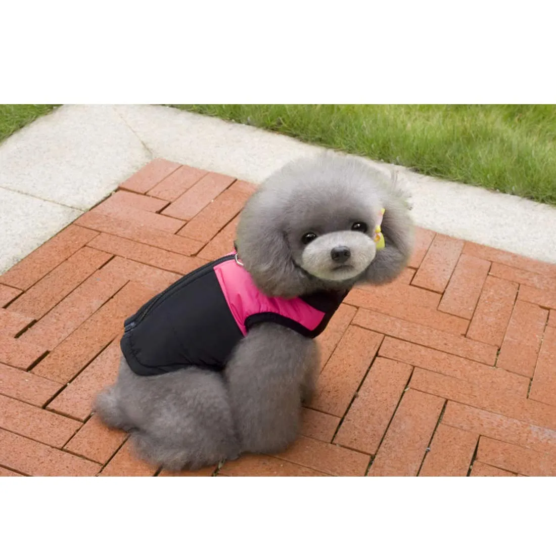 Ectkuee Animale Domestico Cane Vestiti Imbottito Abbigliamento Cappotto Giacca - immagine 6