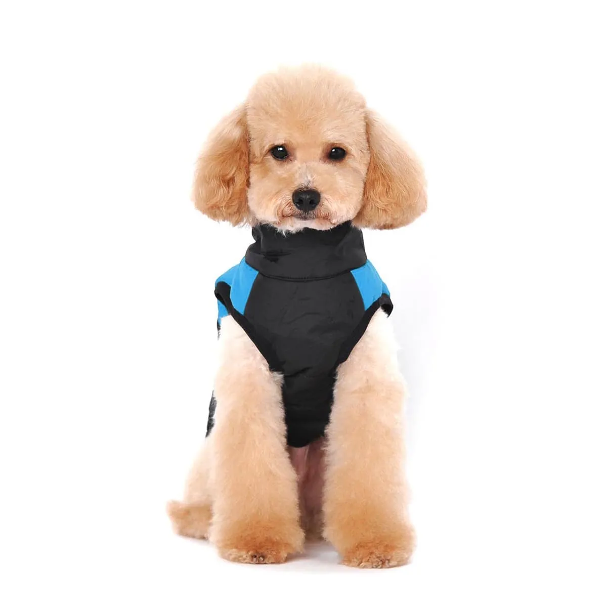 Ectkuee Animale Domestico Cane Vestiti Imbottito Abbigliamento Cappotto Giacca - immagine 2