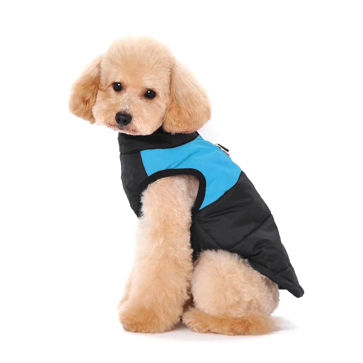 Ectkuee Animale Domestico Cane Vestiti Imbottito Abbigliamento Cappotto Giacca - immagine 3