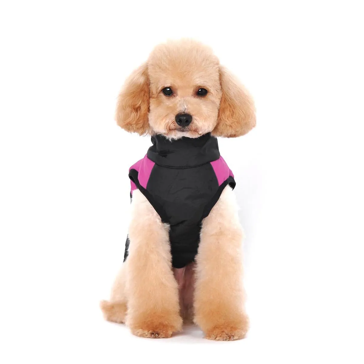 Ectkuee Animale Domestico Cane Vestiti Imbottito Abbigliamento Cappotto Giacca - immagine 4