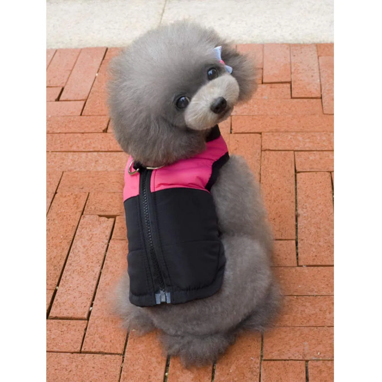 Ectkuee Animale Domestico Cane Vestiti Imbottito Abbigliamento Cappotto Giacca - immagine 5