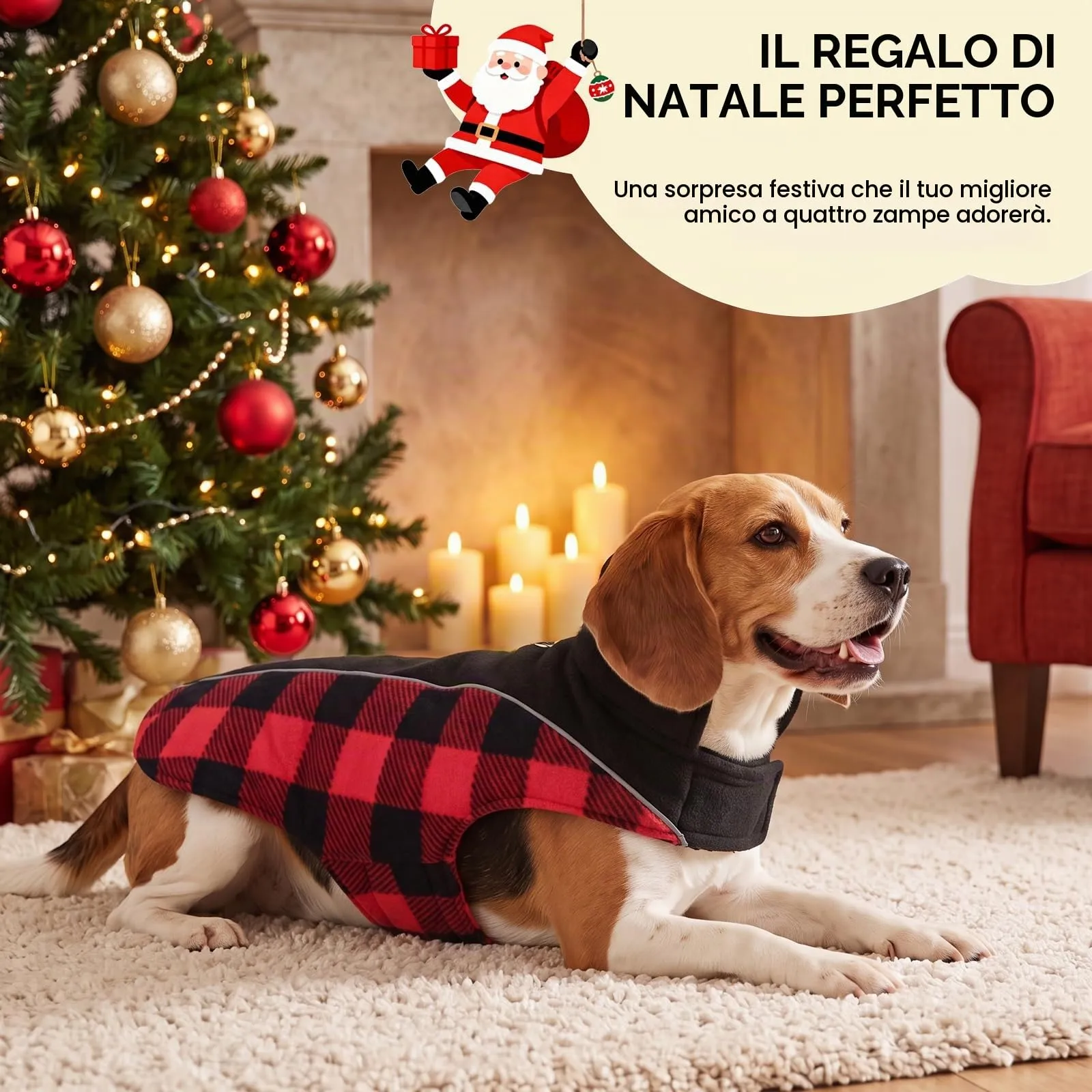 CITÉTOILE Cappotto Invernale per Cani, Giacca Calda e Antivento Rosso XXL - immagine 6