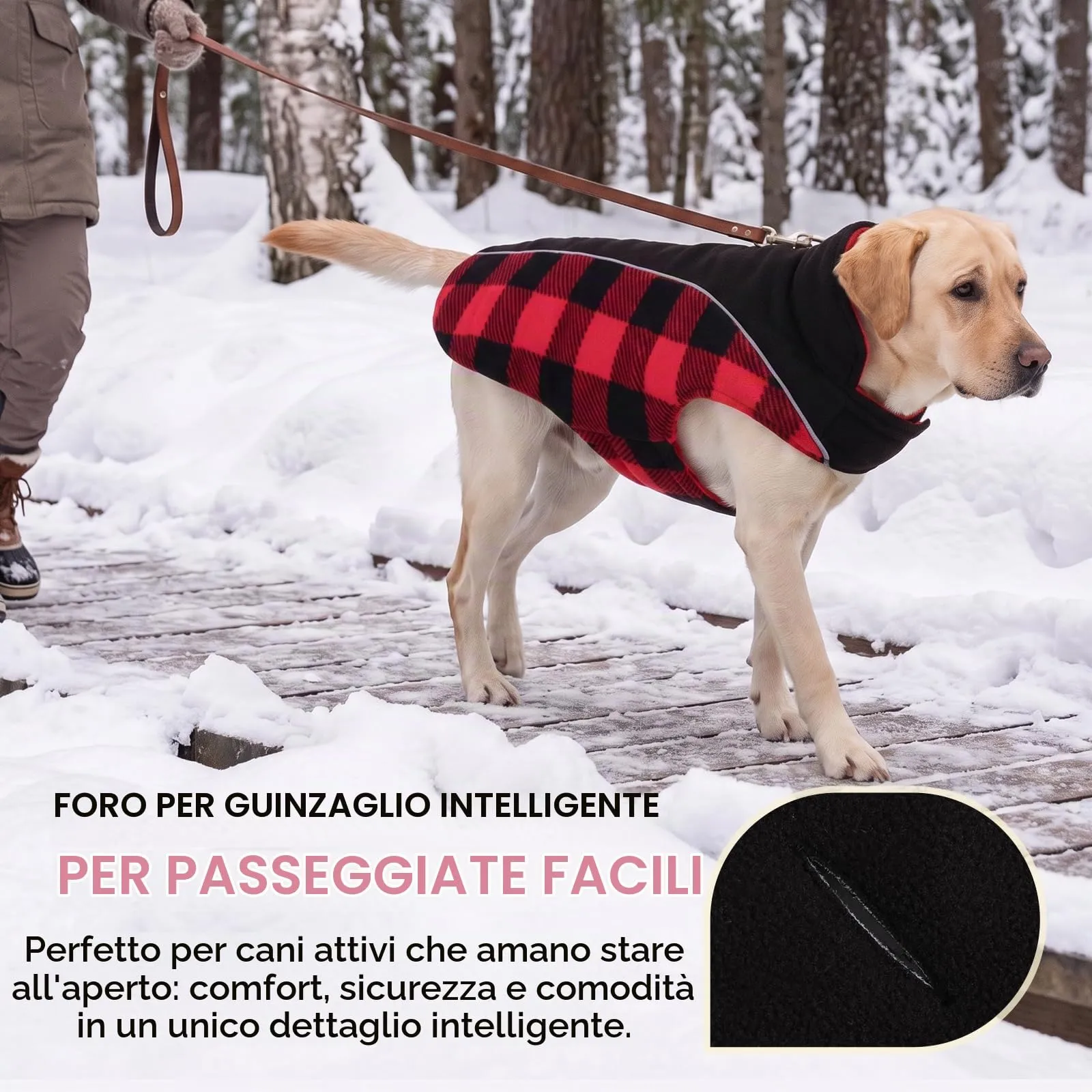 CITÉTOILE Cappotto Invernale per Cani, Giacca Calda e Antivento Rosso S - immagine 4