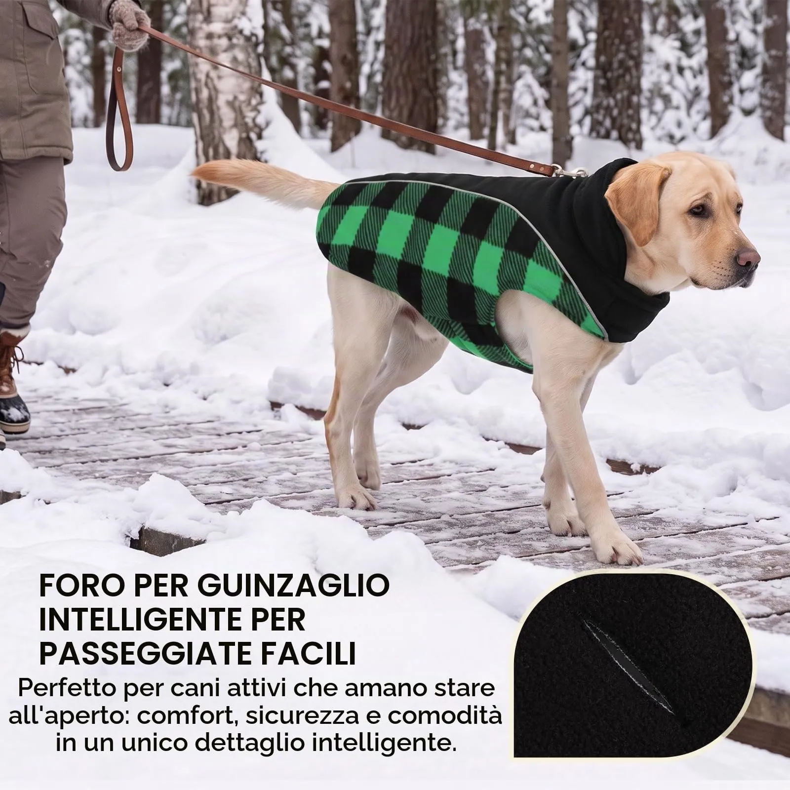 CITÉTOILE Cappotto Invernale per Cani, Giacca Calda e Antivento Verde M - immagine 4