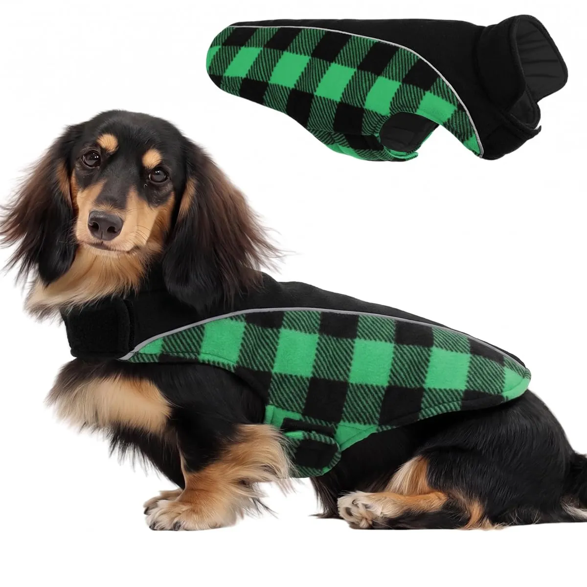 CITÉTOILE Cappotto Invernale per Cani, Giacca Calda e Antivento Verde L - immagine 1